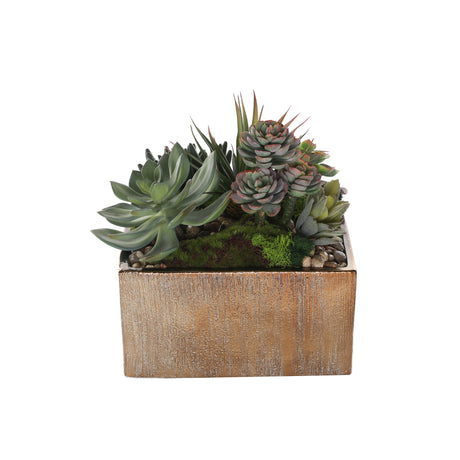 Succulents Arrangement with rocks in Square Etched Gold Pot #S-63