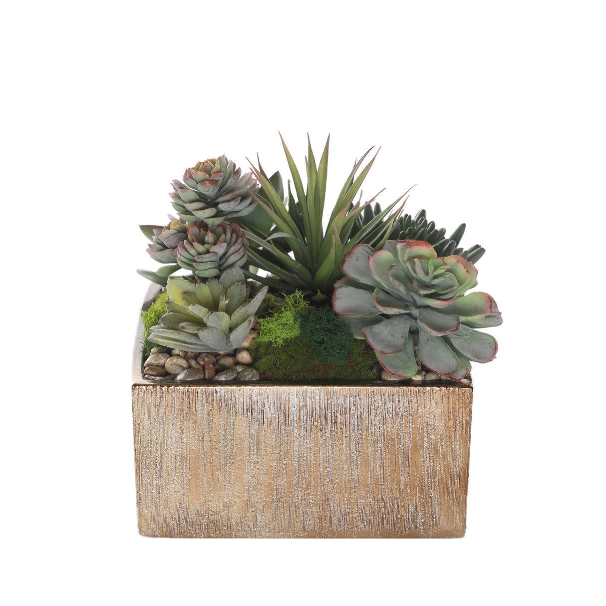 Succulents Arrangement with rocks in Square Etched Gold Pot #S-63