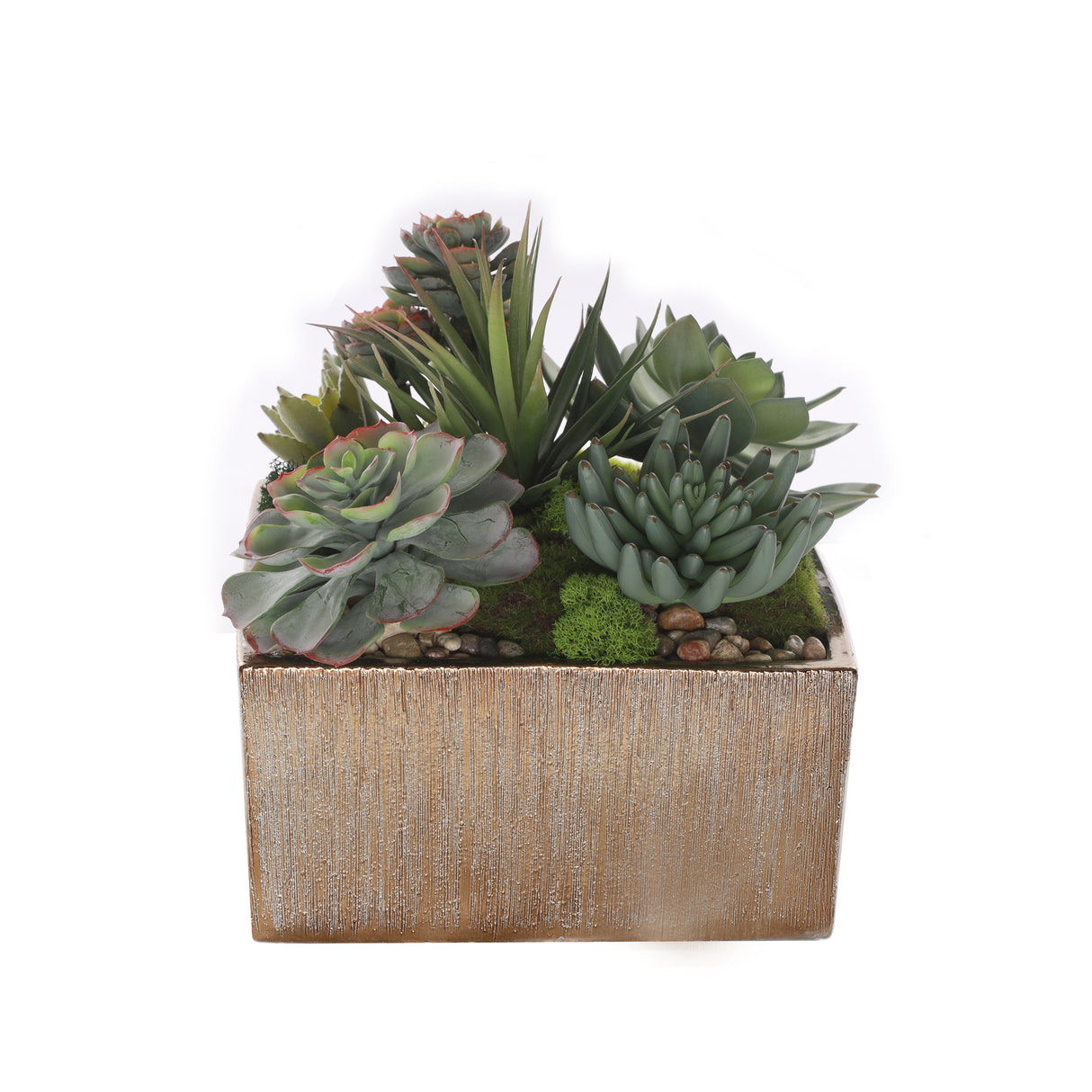 Succulents Arrangement with rocks in Square Etched Gold Pot #S-63