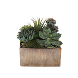 Succulents Arrangement with rocks in Square Etched Gold Pot #S-63