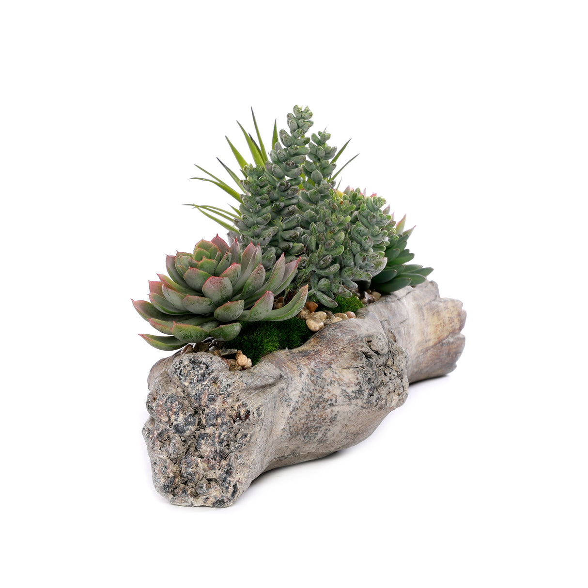 Artificial Succulents with Natural Rocks in a Cement Log #S-64