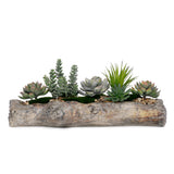 Artificial Succulents with Natural Rocks in a Cement Log #S-64