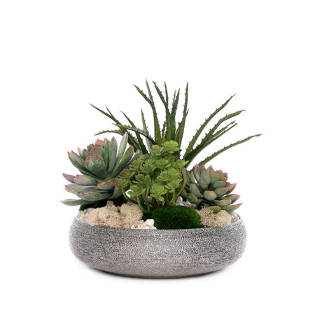 Succulent Arrangement with Natural Pebbles and Moss in Spun Textured Sliver Round Bowl #S-65