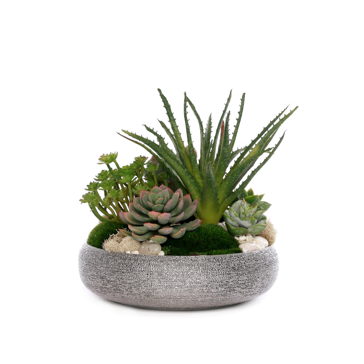 Succulent Arrangement with Natural Pebbles and Moss in Spun Textured Sliver Round Bowl #S-65