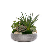 Succulent Arrangement with Natural Pebbles and Moss in Spun Textured Sliver Round Bowl #S-65