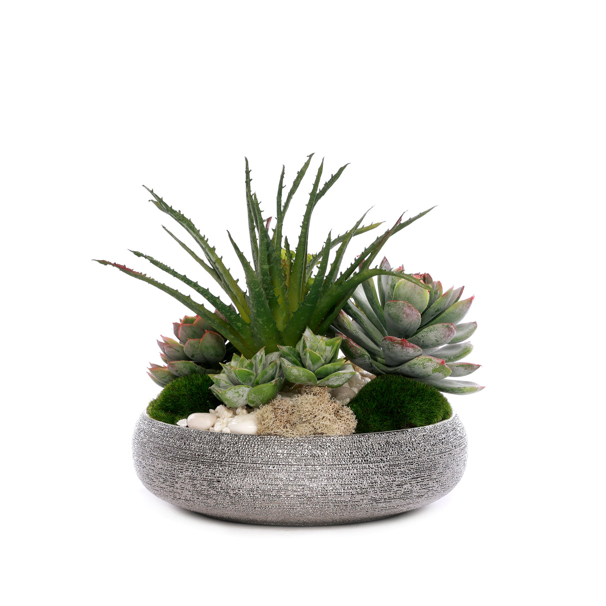 Succulent Arrangement with Natural Pebbles and Moss in Spun Textured Sliver Round Bowl #S-65