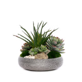 Succulent Arrangement with Natural Pebbles and Moss in Spun Textured Sliver Round Bowl #S-65