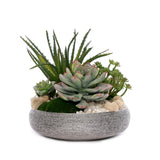 Succulent Arrangement with Natural Pebbles and Moss in Spun Textured Sliver Round Bowl #S-65