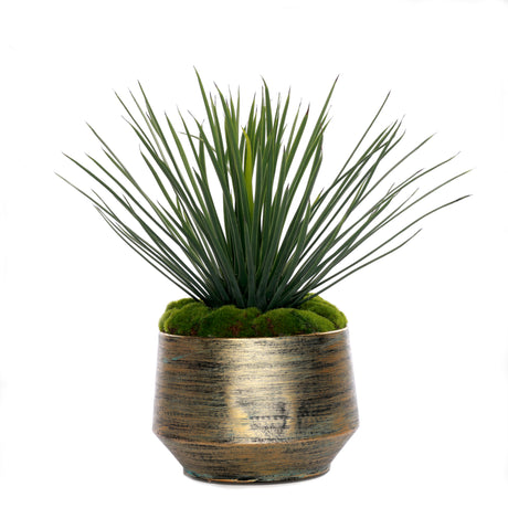 Whipple Yucca/Moss in Green Gold Metal Planter #S-69