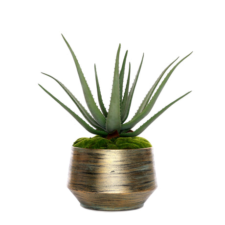 Real Touch Agave Plant/Moss in Green Gold Metal Planter #S-70