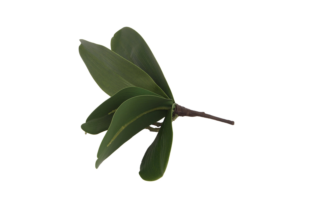 10.6" Artificial Orchid Leaves x5 Stems (12 Pcs Per Box) #ZSO125-GR