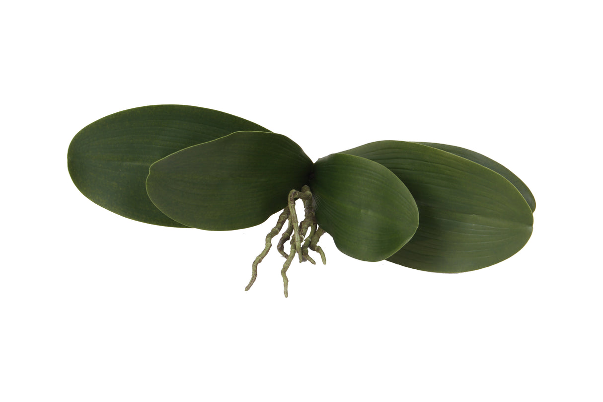 10.6" Artificial Orchid Leaves x5 Stems (12 Pcs Per Box) #ZSO125-GR