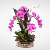 Real Touch Silk Orchids with Succulents and Natural Rocks in Clear Glass Bowl #F-11B