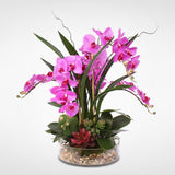 Real Touch Silk Orchids with Succulents and Natural Rocks in Clear Glass Bowl #F-11B