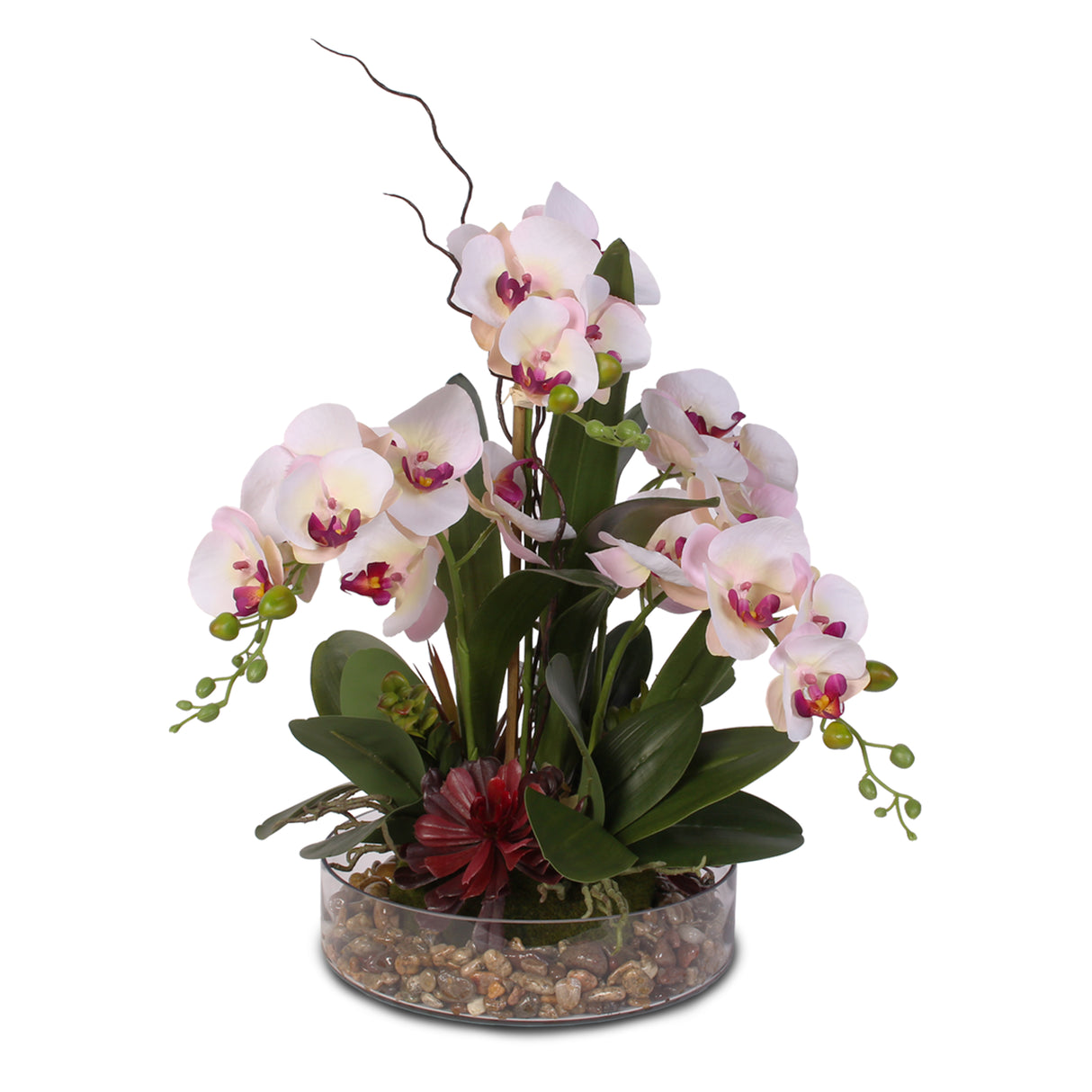 Dainty Pink Cream Silk Phalaenopsis Orchid & Succulent with Natural Pebbles #F-11C
