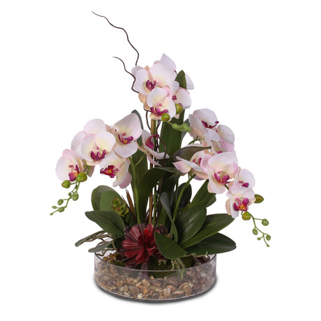 Dainty Pink Cream Silk Phalaenopsis Orchid & Succulent with Natural Pebbles #F-11C