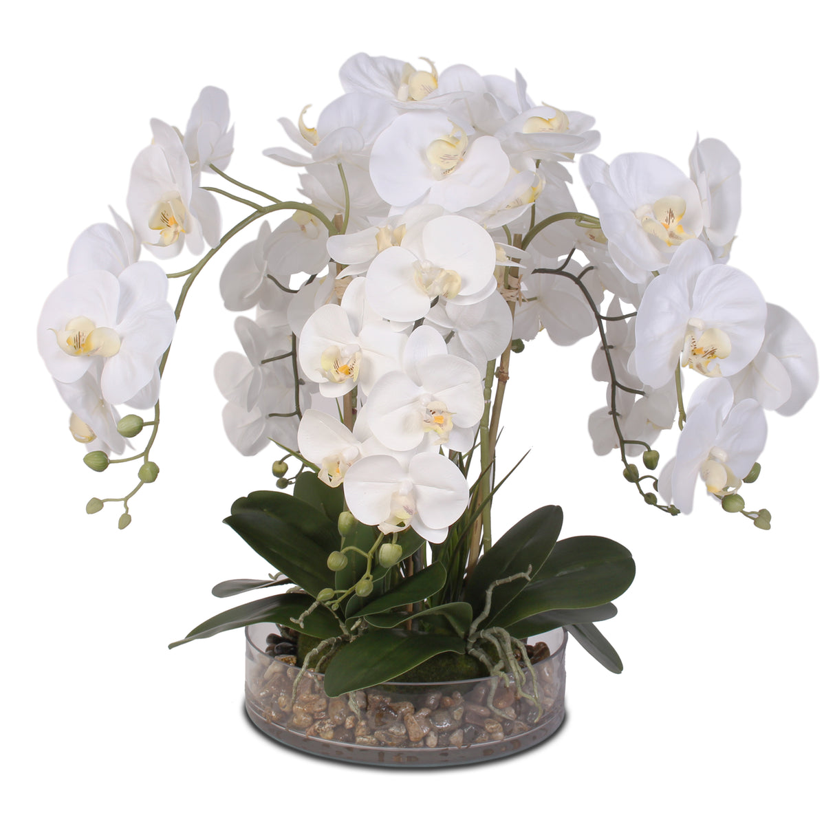 Life Like White Real Touch Phalaenopsis Orchid & Vanilla Grass Bush in a Glass Bowl #F-14C