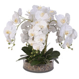 Life Like White Real Touch Phalaenopsis Orchid & Vanilla Grass Bush in a Glass Bowl #F-14C