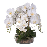 Life Like White Real Touch Phalaenopsis Orchid & Vanilla Grass Bush in a Glass Bowl #F-14C
