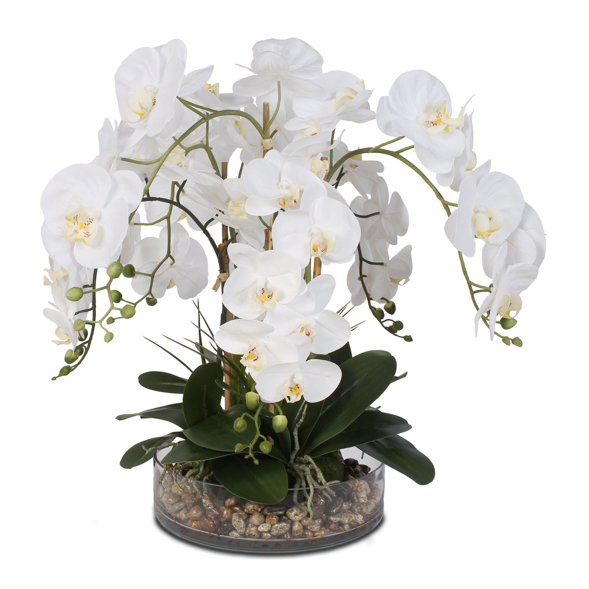 Life Like White Real Touch Phalaenopsis Orchid & Vanilla Grass Bush in a Glass Bowl #F-14C