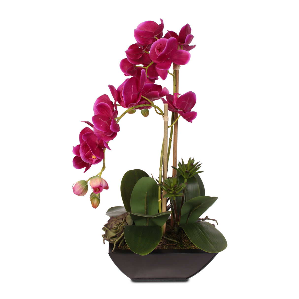 Violet Color Real Touch Phalaenopsis Orchid & Artificial Succulents in a Contemporary Metal Pot #F-23D