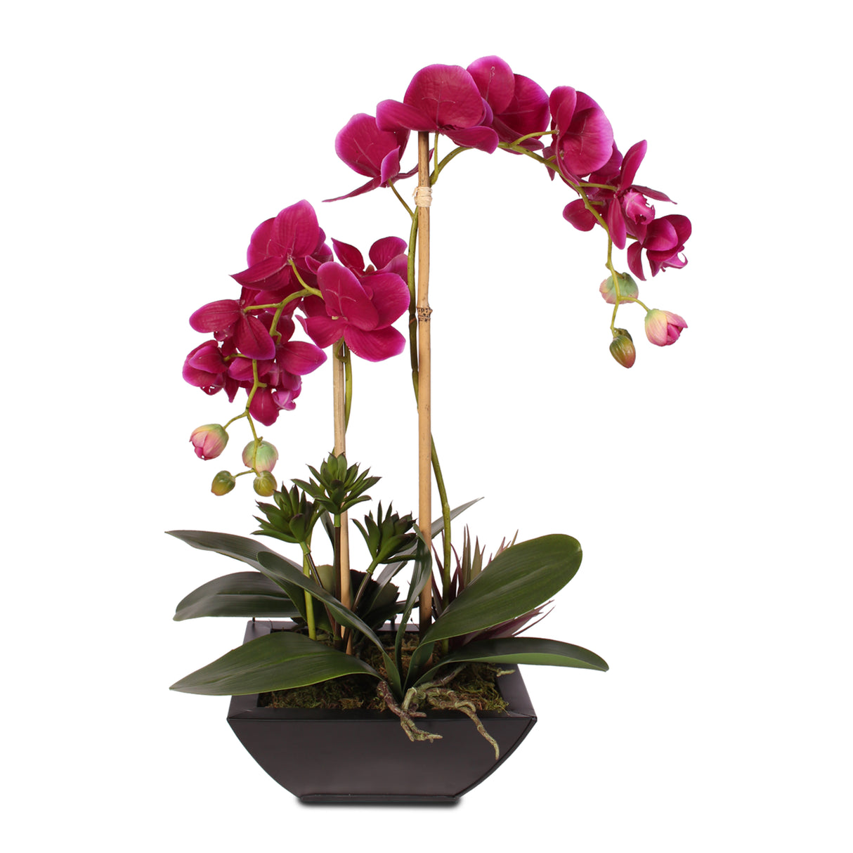 Violet Color Real Touch Phalaenopsis Orchid & Artificial Succulents in a Contemporary Metal Pot #F-23D