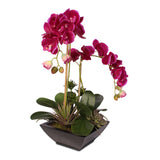 Violet Color Real Touch Phalaenopsis Orchid & Artificial Succulents in a Contemporary Metal Pot #F-23D