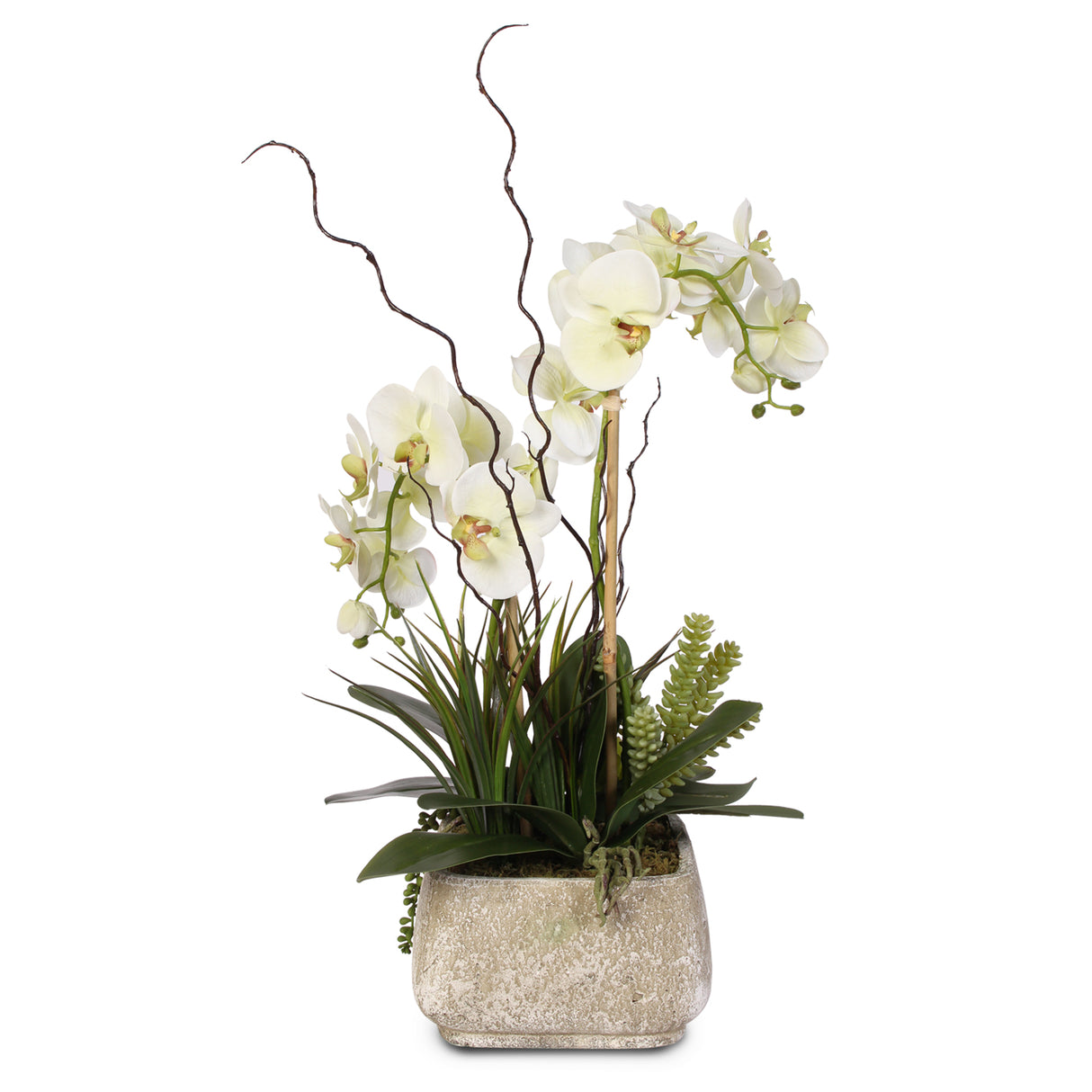 Real Touch Phalaenopsis Silk Orchid with Succulents in Stone Pot #25B ...