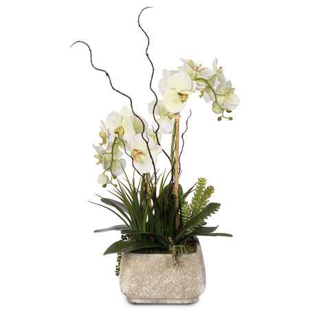 Real Touch Phalaenopsis Silk Orchid with Succulents in Stone Pot #25B