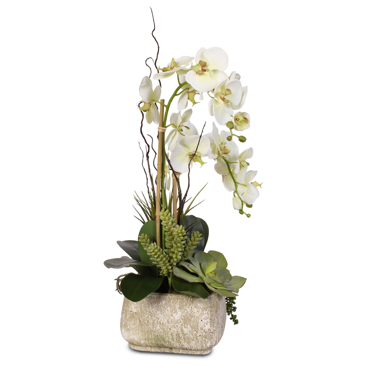 Real Touch Phalaenopsis Silk Orchid with Succulents in Stone Pot #25B