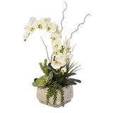 Real Touch Phalaenopsis Silk Orchid with Succulents in Stone Pot #25B