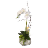 Real Touch Phalaenopsis Silk Orchid with Succulents in a Cement Pot #2A