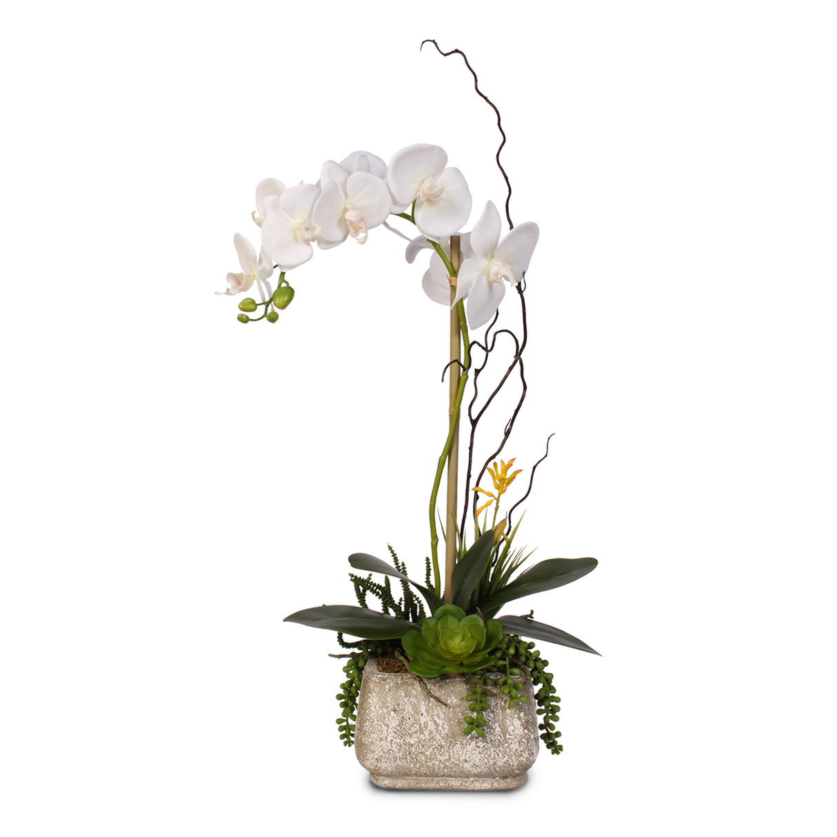 Real Touch Phalaenopsis Silk Orchid with Succulents in a Cement Pot #2A