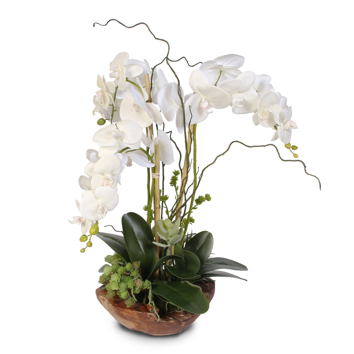 Real Touch Phalaenopsis Silk Orchid with Curly Willow in Natural Teak Wood Bowl #40C