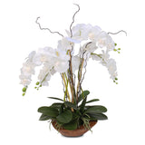 Real Touch Phalaenopsis Silk Orchid with Curly Willow in Natural Teak Wood Bowl #43