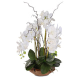 Real Touch Phalaenopsis Silk Orchid with Curly Willow in Natural Teak Wood Bowl #43