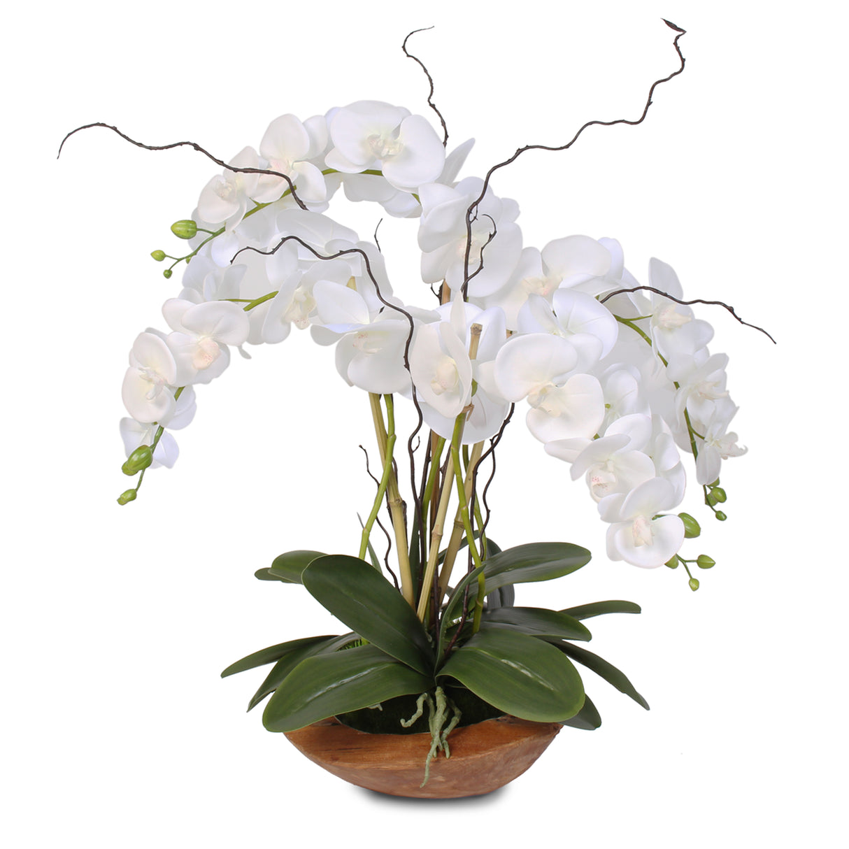 Real Touch Phalaenopsis Silk Orchid with Curly Willow in Natural Teak Wood Bowl #43