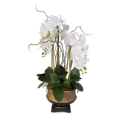 Parisian Chic White Real Touch Orchid Arrangement in Gilded Vase #43W