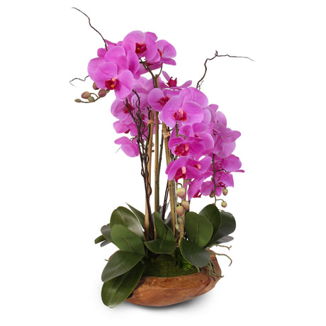 Real Touch 5-Stem Phalaenopsis Silk Orchids in a Natural Teakwood Bowl #59A