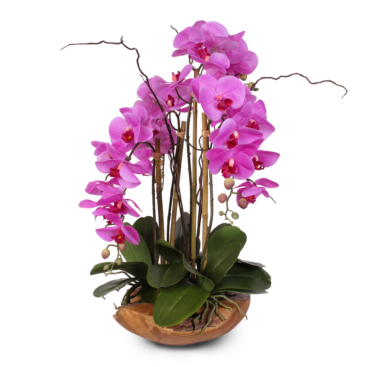 Real Touch 5-Stem Phalaenopsis Silk Orchids in a Natural Teakwood Bowl #59A