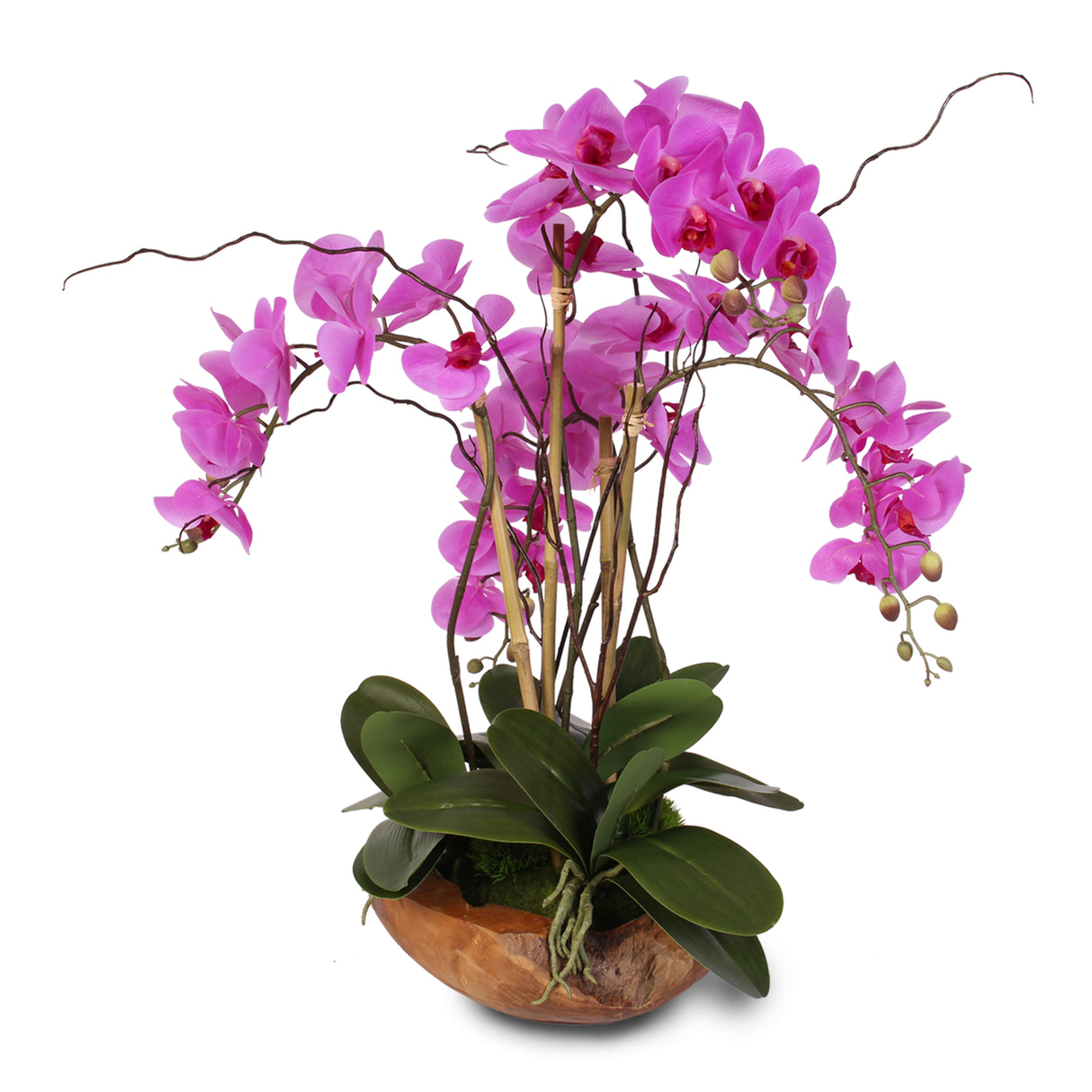 Real Touch 5-Stem Phalaenopsis Silk Orchids in a Natural Teakwood Bowl #59A