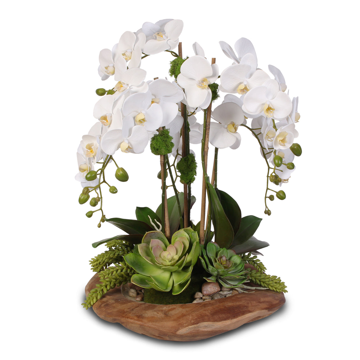 Real Touch 6-Stem Phalaenopsis Orchids with Succulents in Natural Wood Bowl #F-59E