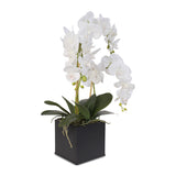 Real Touch Triple-Stem Phalaenopsis Silk Orchid in a Ceramic Container #6