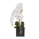 Real Touch Triple-Stem Phalaenopsis Silk Orchid in a Ceramic Container #6