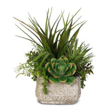 Artificial Succulent Variety in a Cement Pot #62C