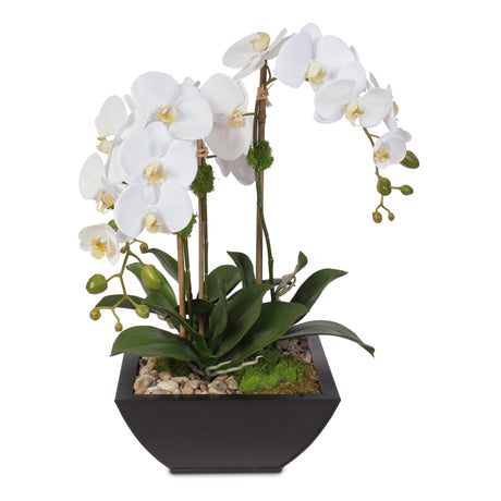 Real Touch Orchid & Succulents in a Contemporary Metal Pot #F-6H