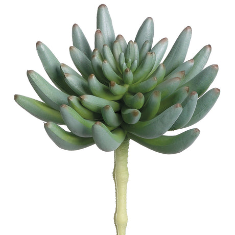 succulent, spike aeonium, artificial flowers, silk flowers, home decor, modern, contemporary