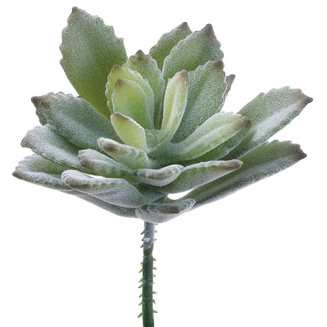 artificial, silk flowers, succulent, agave