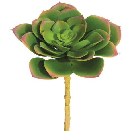 succulent, echeveria, rosette, artificial flowers, silk flowers, home decor, modern, contemporary