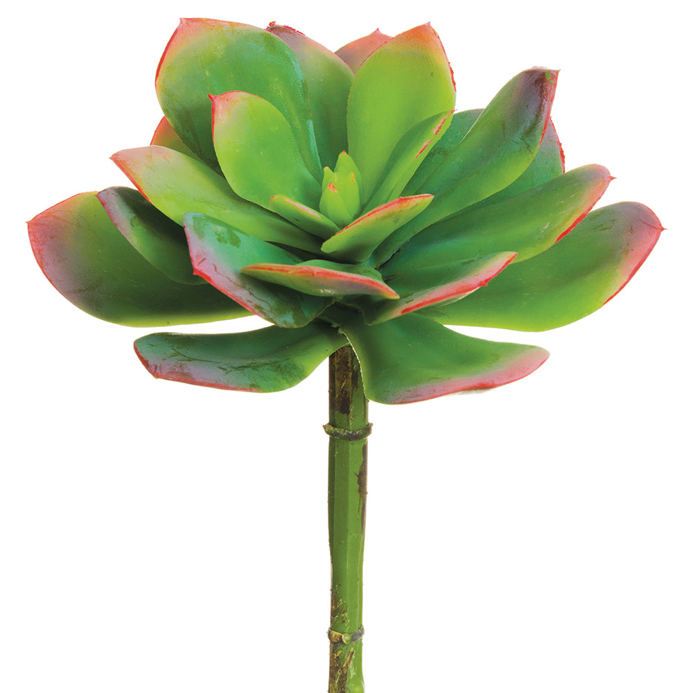 succulent, echeveria, artificial flowers, silk flowers, home decor, modern, contemporary